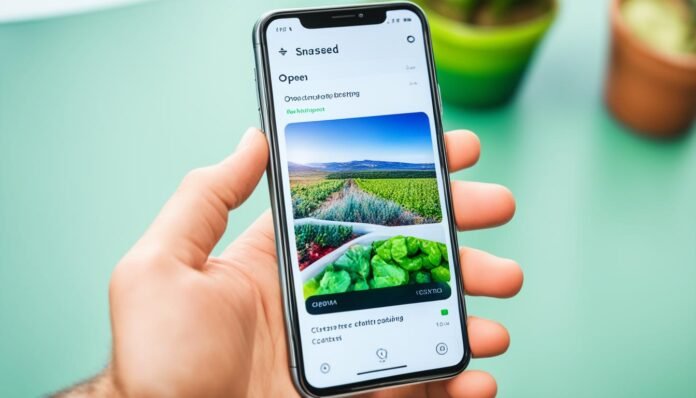 how to edit photos on Snapseed